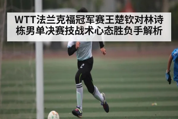 WTT法兰克福冠军赛王楚钦对林诗栋男单决赛技战术心态胜负手解析